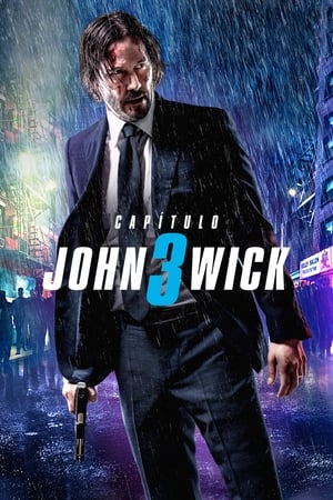 John Wick 3: Parabellum (2019)