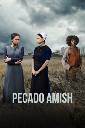 An Amish Sin