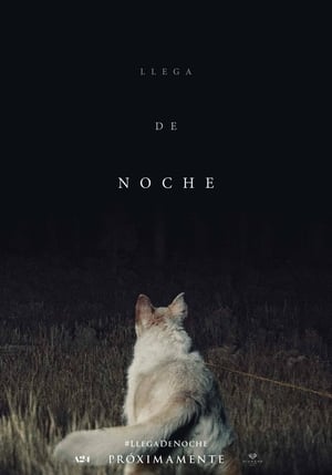 Llega de noche